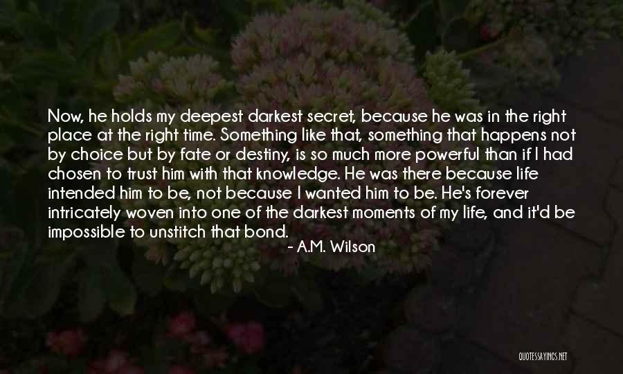 Cardinal John Dearden Quotes By A.M. Wilson Cardinal John Dearden Quotes By A.M. Wilson