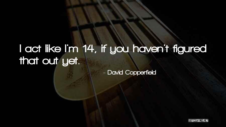 Cardinal Kasper Quotes By David Copperfield