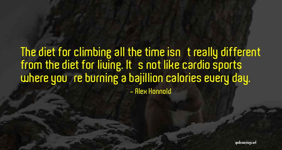 Cardio Time Quotes By Alex Honnold