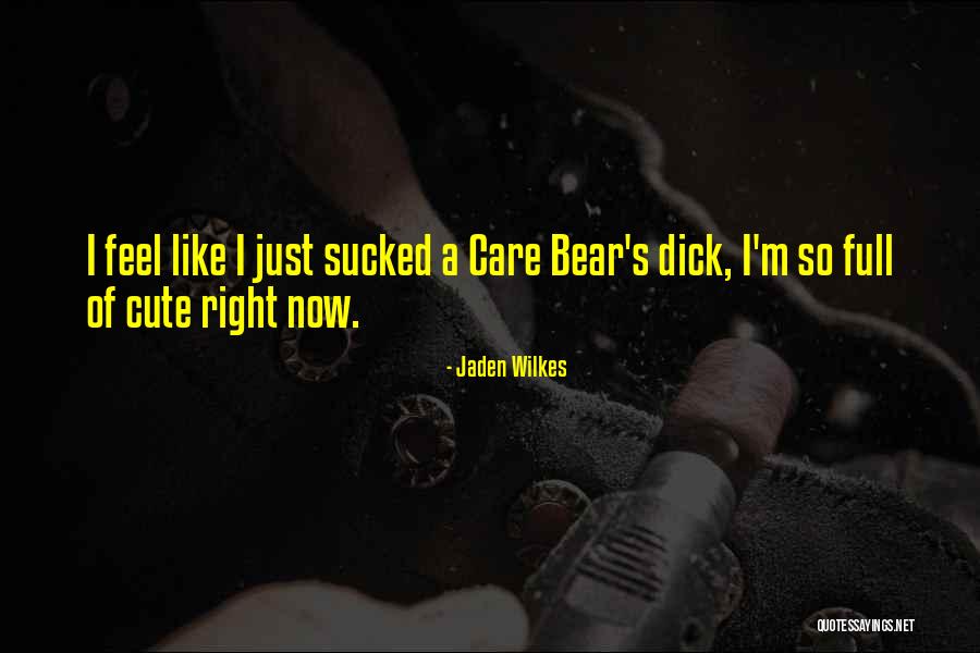 Care Bear Quotes By Jaden Wilkes