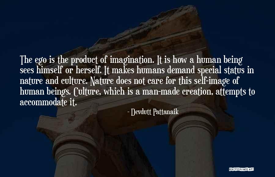 Care For Creation Quotes By Devdutt Pattanaik