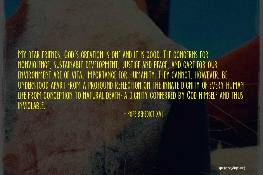 Care For Creation Quotes By Pope Benedict XVI