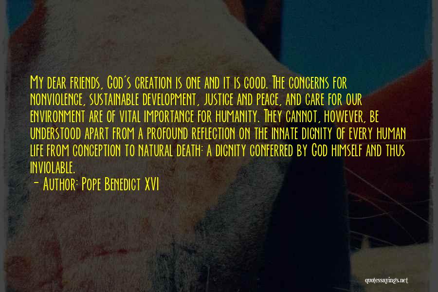 Care For Environment Quotes By Pope Benedict XVI