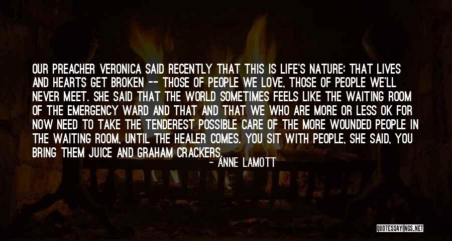 Care For Nature Quotes By Anne Lamott