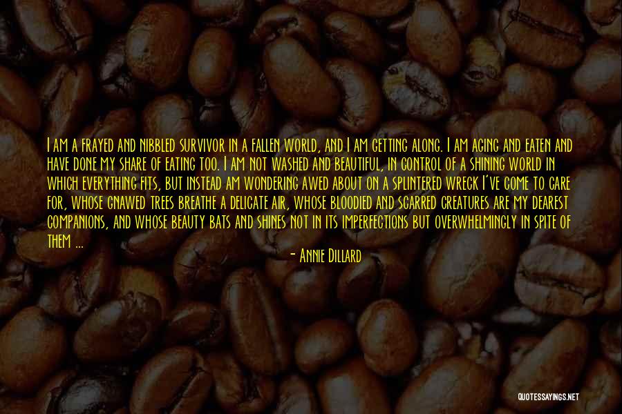 Care For Nature Quotes By Annie Dillard Care For Nature Quotes By Annie Dillard