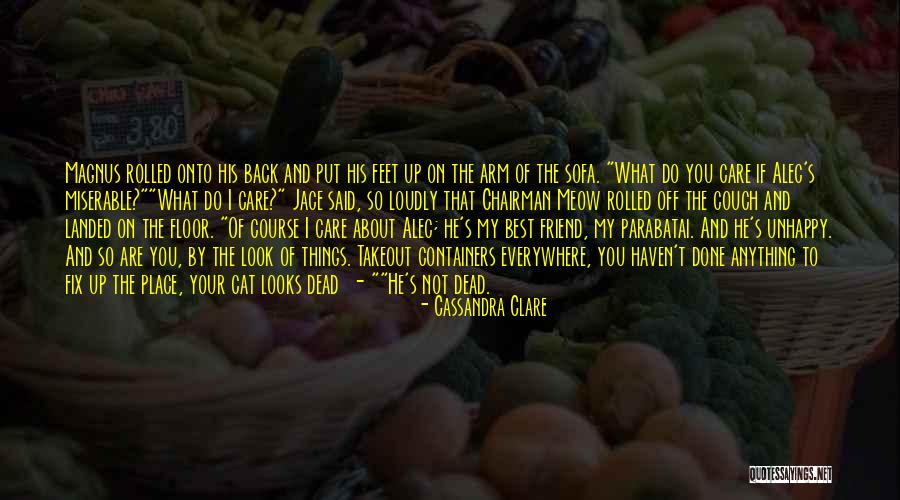 Care That Looks Quotes By Cassandra Clare Care That Looks Quotes By Cassandra Clare