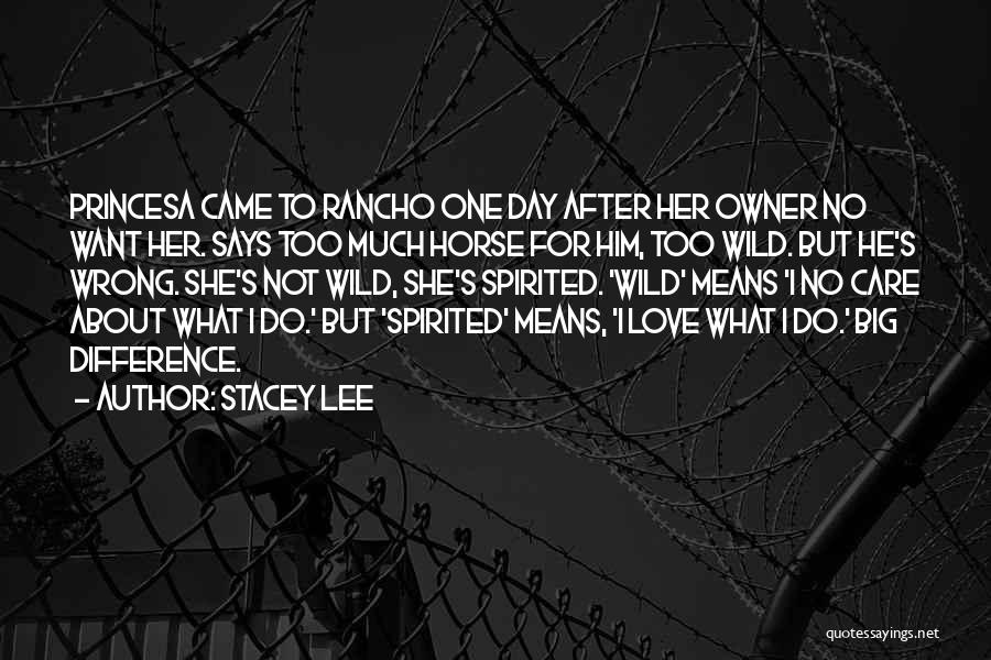 Care Too Much Love Quotes By Stacey Lee