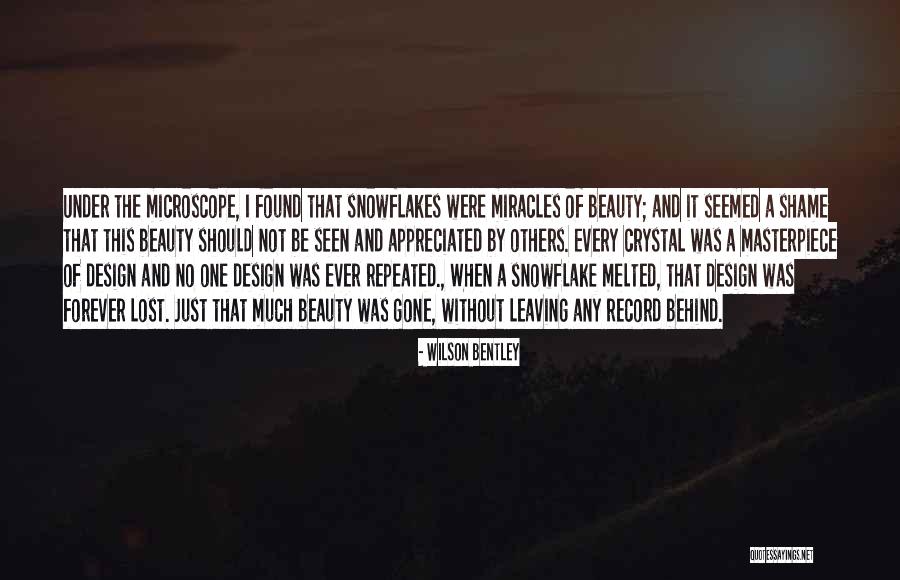 Careening In A Sentence Quotes By Wilson Bentley Careening In A Sentence Quotes By Wilson Bentley