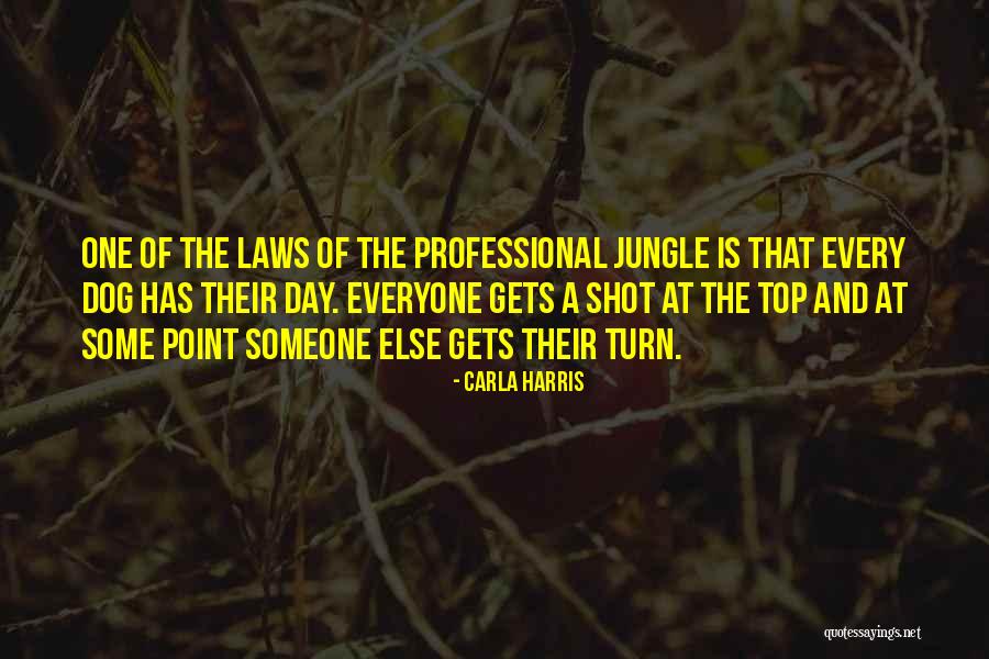 Career Development Quotes By Carla Harris Career Development Quotes By Carla Harris