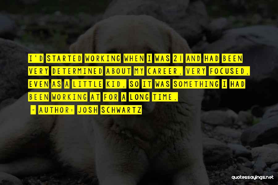 Career Focused Quotes By Josh Schwartz