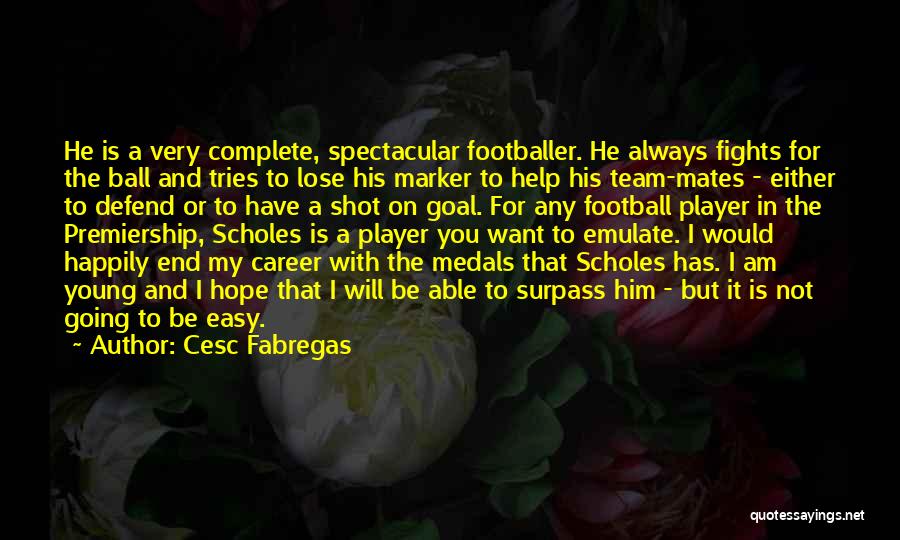 Career Goal Quotes By Cesc Fabregas