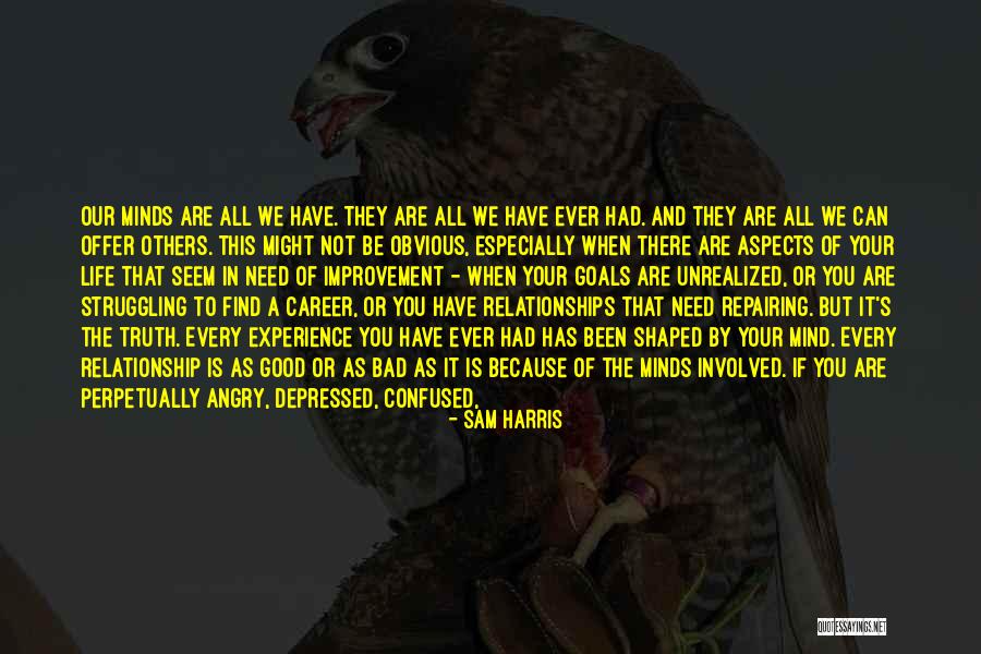 Career Goals Quotes By Sam Harris Career Goals Quotes By Sam Harris