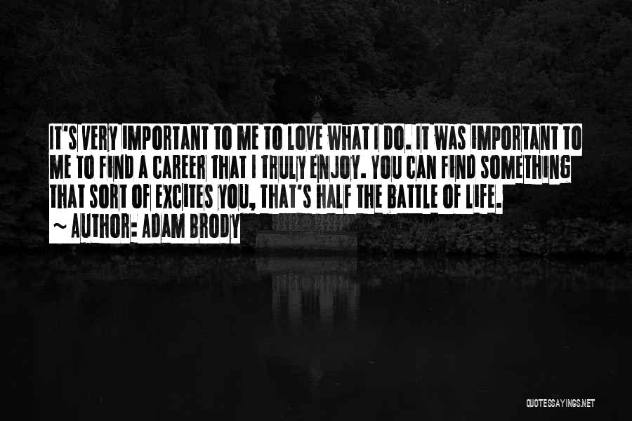 Career Is More Important Than Love Quotes By Adam Brody