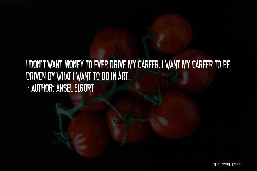 Career Money Quotes By Ansel Elgort