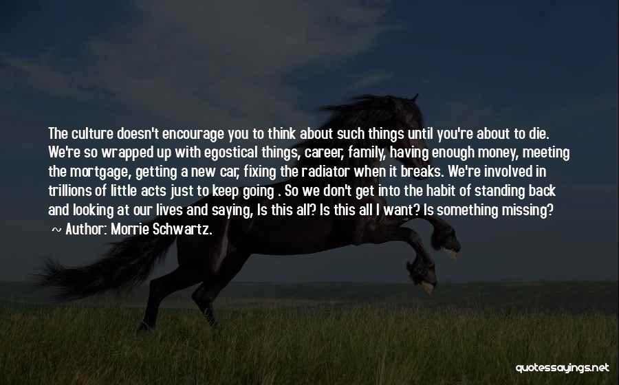 Career Money Quotes By Morrie Schwartz.