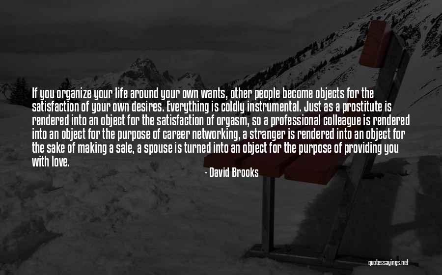 Career Or Love Life Quotes By David Brooks