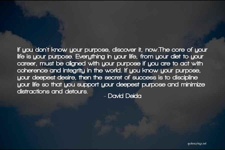 Career Success Quotes By David Deida