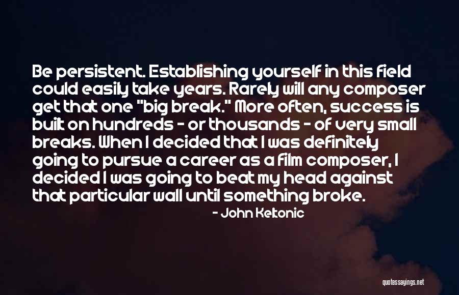 Career Success Quotes By John Keltonic