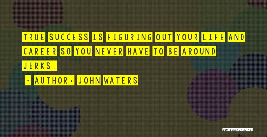 Career Success Quotes By John Waters