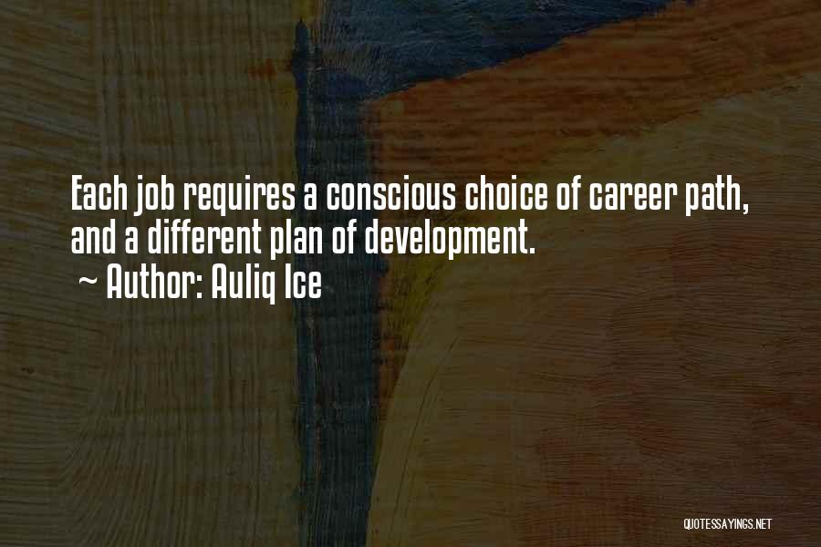 Careers Advice Quotes By Auliq Ice