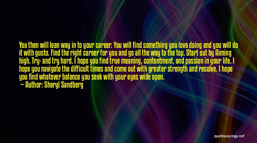 Careers And Love Quotes By Sheryl Sandberg