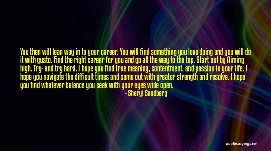 Careers And Love Quotes By Sheryl Sandberg