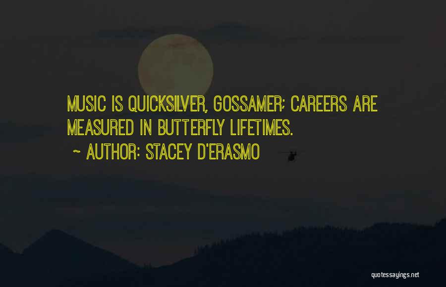 Careers In Music Quotes By Stacey D'Erasmo