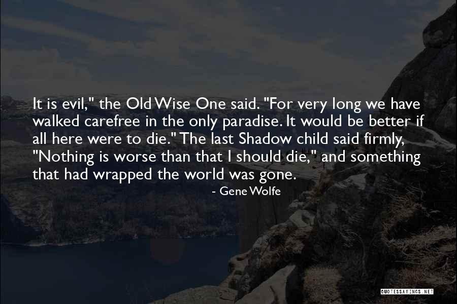 Carefree Child Quotes By Gene Wolfe Carefree Child Quotes By Gene Wolfe