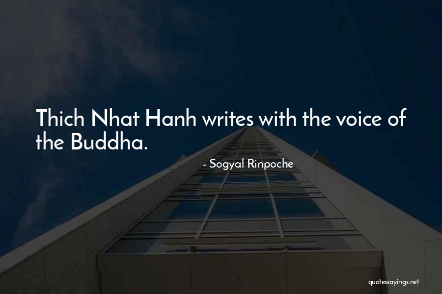 Carefree Child Quotes By Sogyal Rinpoche Carefree Child Quotes By Sogyal Rinpoche