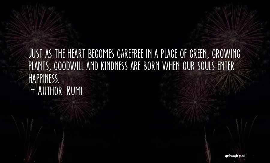 Carefree Quotes By Rumi