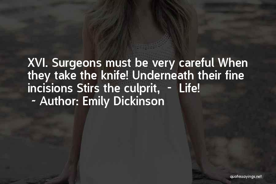 Careful Life Quotes By Emily Dickinson