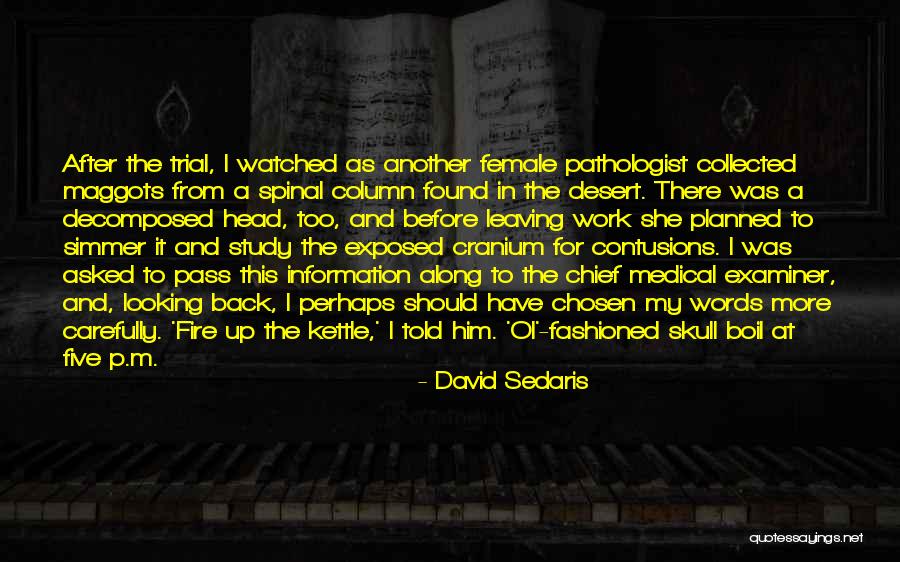 Carefully Planned Quotes By David Sedaris Carefully Planned Quotes By David Sedaris