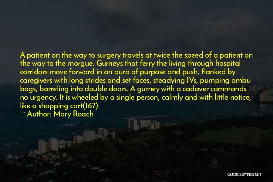 Caregivers Quotes By Mary Roach