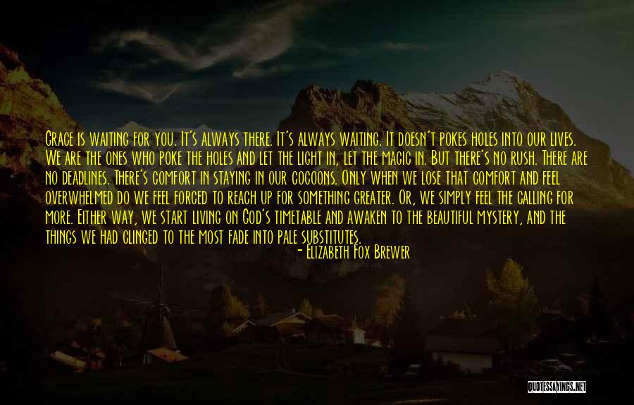 Carellis Craig Quotes By Elizabeth Fox Brewer Carellis Craig Quotes By Elizabeth Fox Brewer