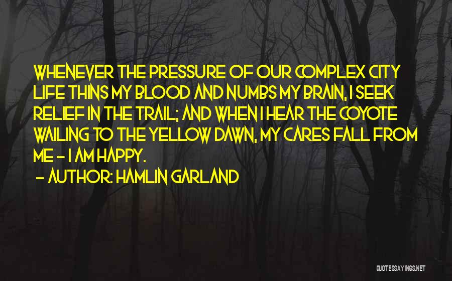 Cares Quotes By Hamlin Garland