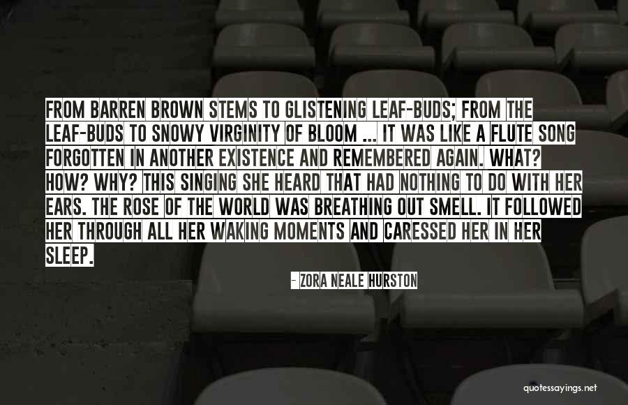 Caressed One Another Quotes By Zora Neale Hurston Caressed One Another Quotes By Zora Neale Hurston
