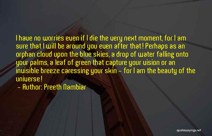 Caressing You Quotes By Preeth Nambiar