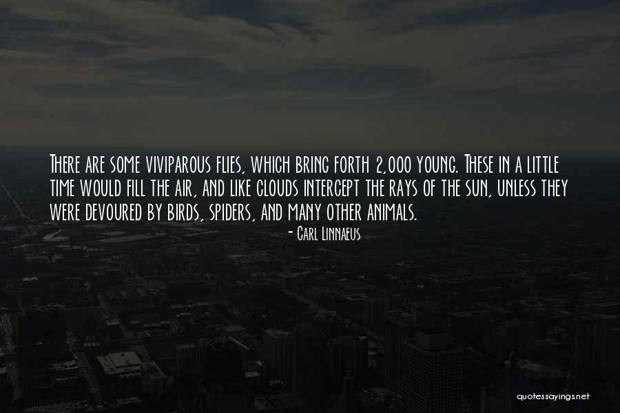 Careswell Castle Quotes By Carl Linnaeus Careswell Castle Quotes By Carl Linnaeus