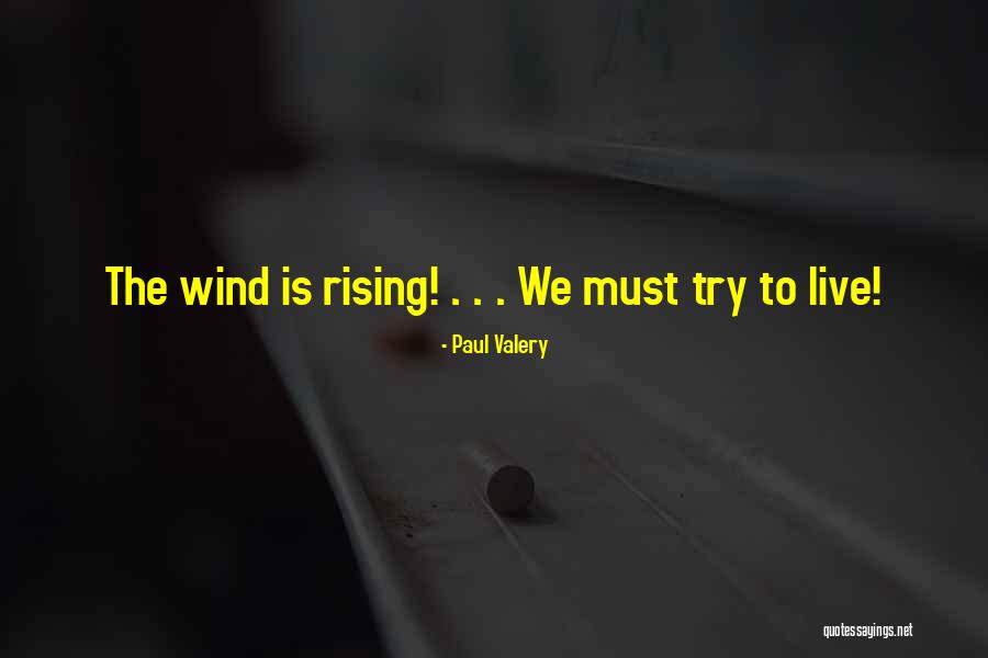 Caretake Quotes By Paul Valery