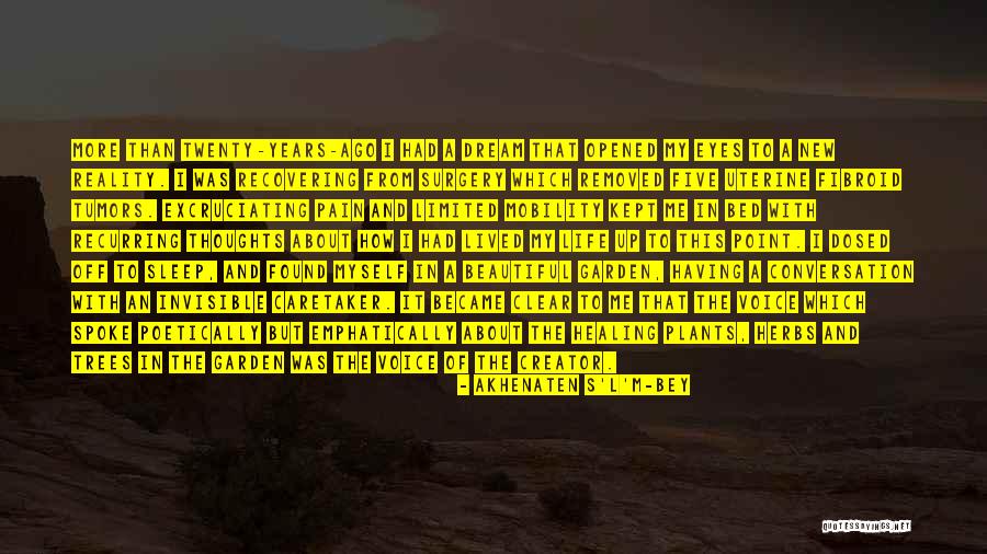 Caretaker Quotes By Akhenaten S'L'M-Bey Caretaker Quotes By Akhenaten S'L'M-Bey