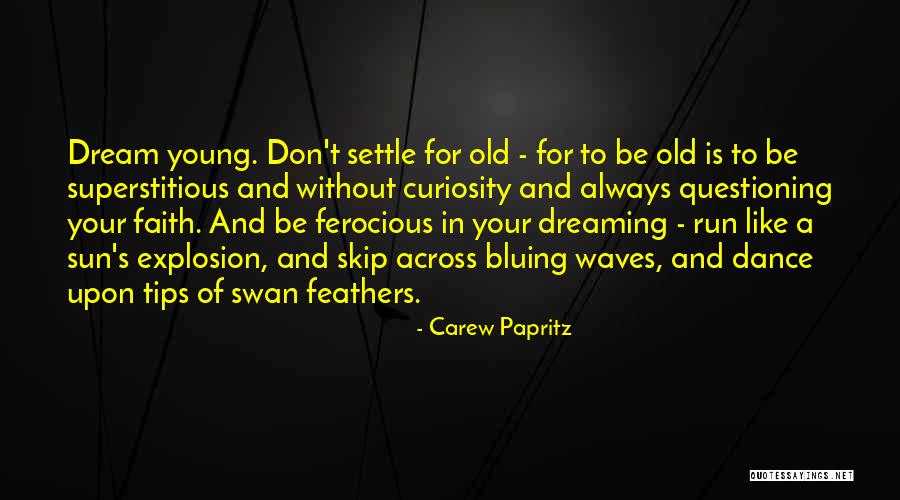 Carew Papritz Quotes 161199