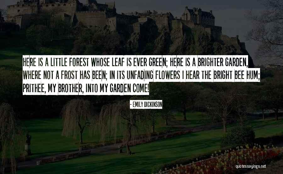 Carezone Quotes By Emily Dickinson Carezone Quotes By Emily Dickinson
