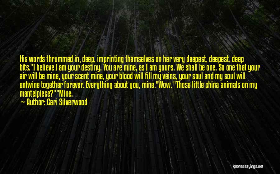 Cari Silverwood Quotes 1259504