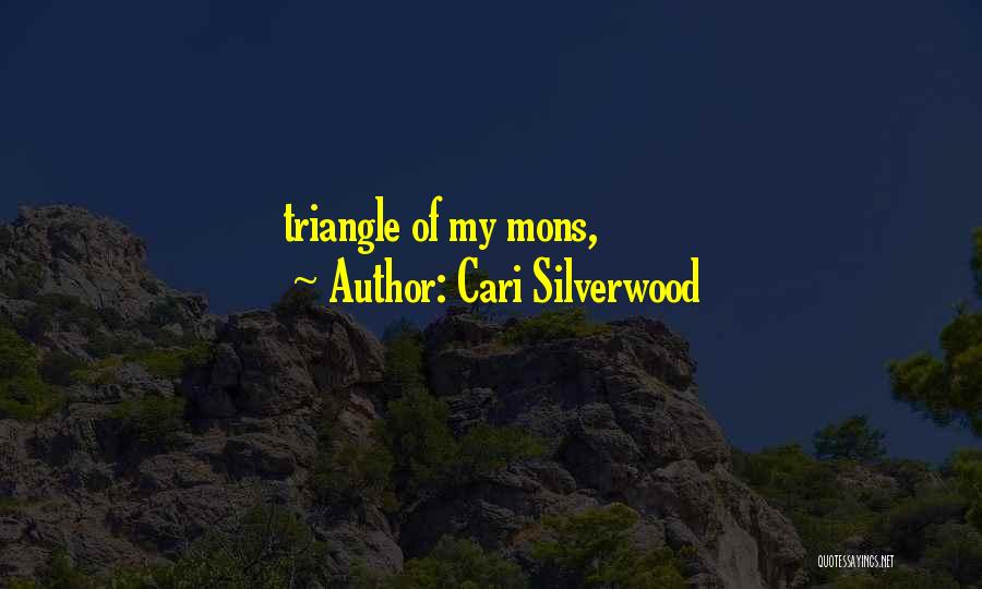 Cari Silverwood Quotes 1669468