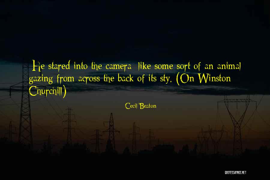 Carias Family Quotes By Cecil Beaton Carias Family Quotes By Cecil Beaton