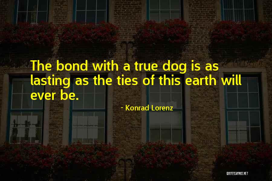 Caricias Intimas Quotes By Konrad Lorenz