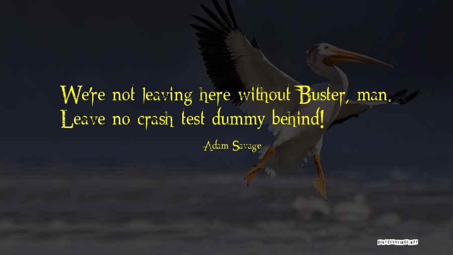 Carilynne Quotes By Adam Savage Carilynne Quotes By Adam Savage