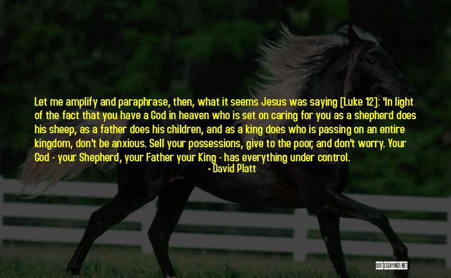 Caring Children Quotes By David Platt