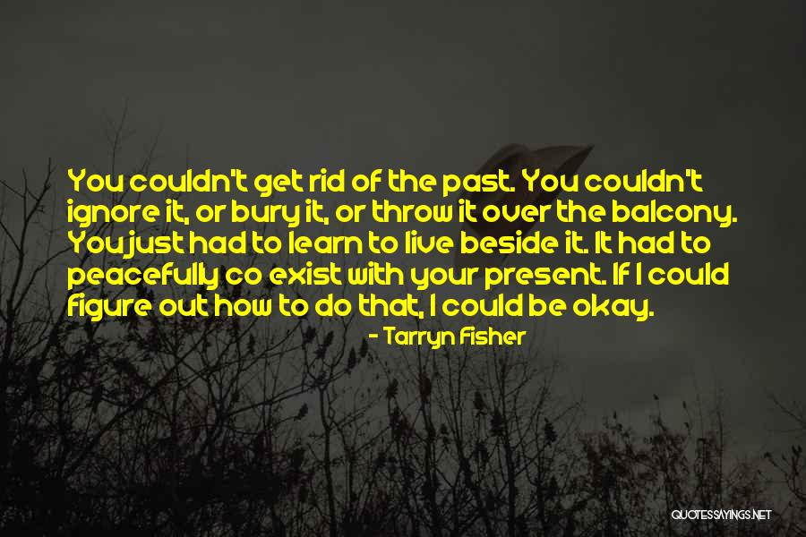 Caring For Public Property Quotes By Tarryn Fisher Caring For Public Property Quotes By Tarryn Fisher