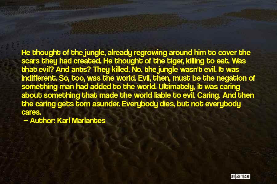 Caring For Your Man Quotes By Karl Marlantes